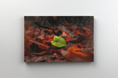 Tablou Canvas - Alone