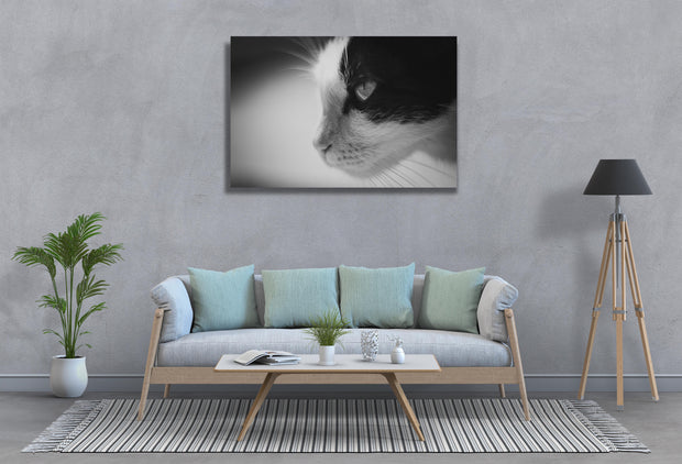 Tablou Canvas - B&W Cat Portrait