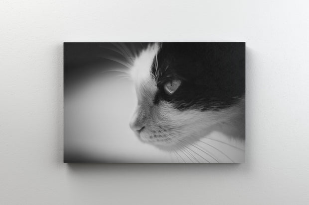 Tablou Canvas - B&W Cat Portrait