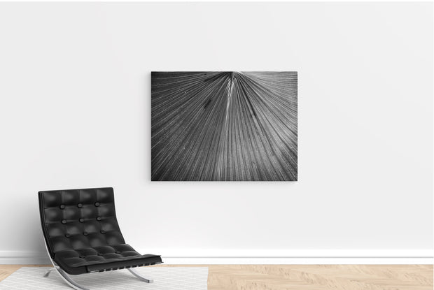Tablou Canvas - Botanical Garden
