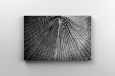 Tablou Canvas - Botanical Garden