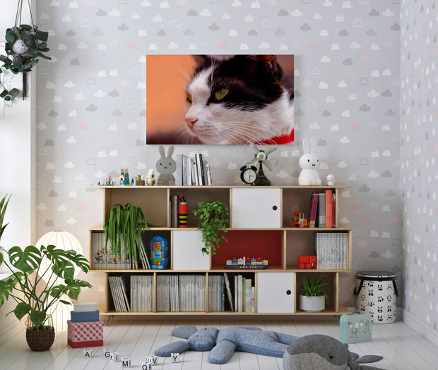 Tablou Canvas - Cat Portrait