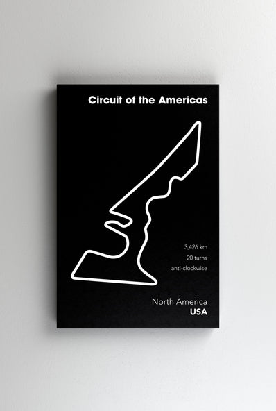 Tablou Canvas - Circuit of America Black