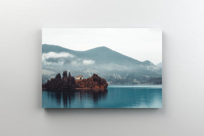 Tablou Canvas - Colibita