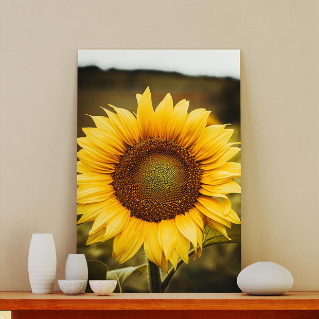 Tablou Canvas - Floarea Soarelului