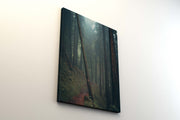 Tablou Canvas - Foggy Forest III
