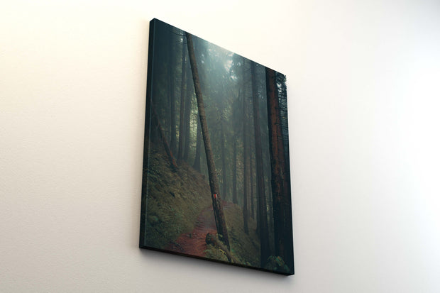 Tablou Canvas - Foggy Forest III