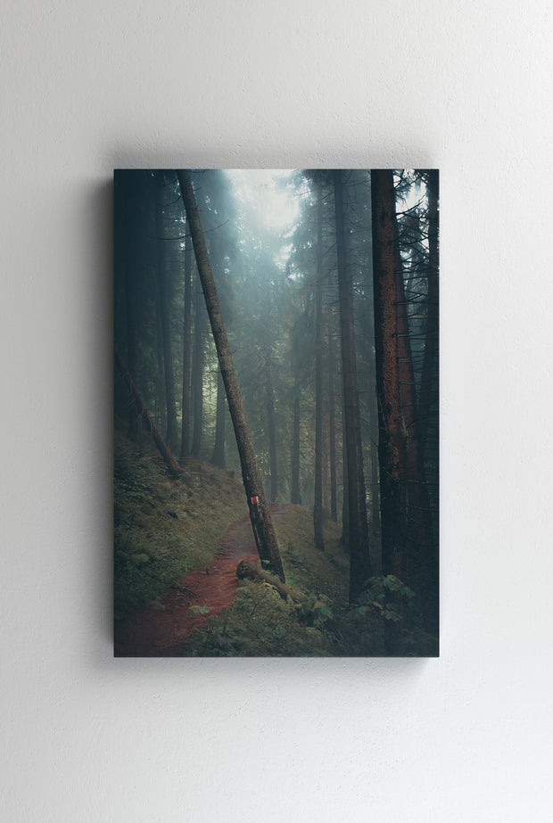 Tablou Canvas - Foggy Forest III