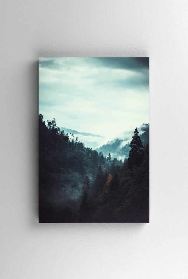 Tablou Canvas - Foggy Forest II