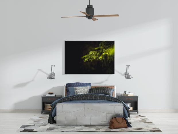 Tablou Canvas - Forest