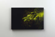 Tablou Canvas - Forest