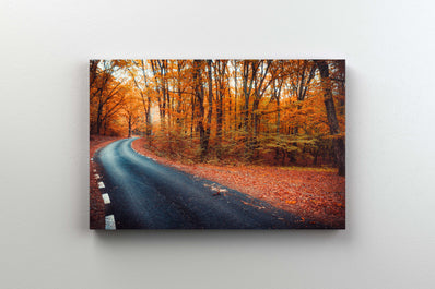 Tablou Canvas - Forest Road