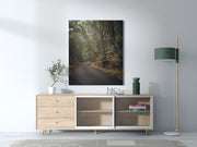 Tablou Canvas - Forest Road