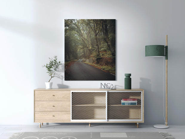 Tablou Canvas - Forest Road