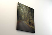 Tablou Canvas - Forest Road