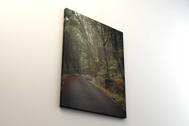 Tablou Canvas - Forest Road