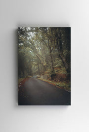 Tablou Canvas - Forest Road