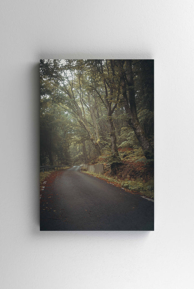 Tablou Canvas - Forest Road