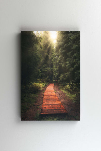 Tablou Canvas - Into the Forest