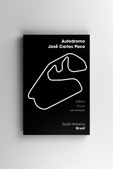 Tablou Canvas - Jose Carlos