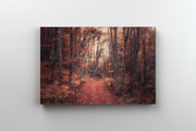 Tablou Canvas - Magic Forest