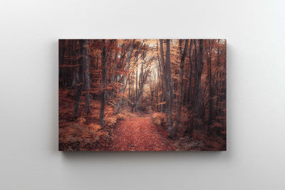 Tablou Canvas - Magic Forest