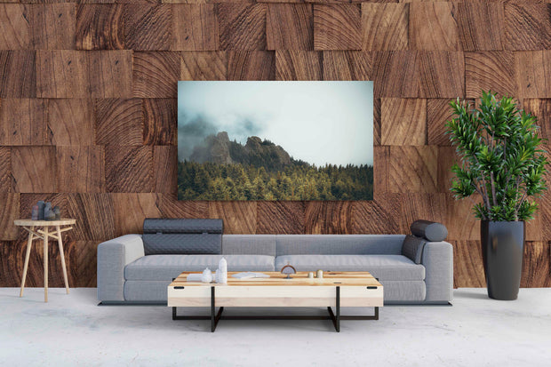 Tablou Canvas - Mountain
