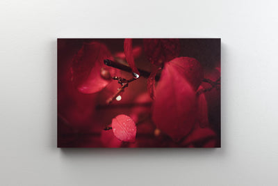 Tablou Canvas - Read Leaf