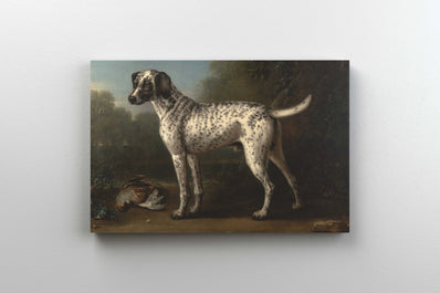 Tablou Canvas - John Wootton - A Grey Spotted Hound