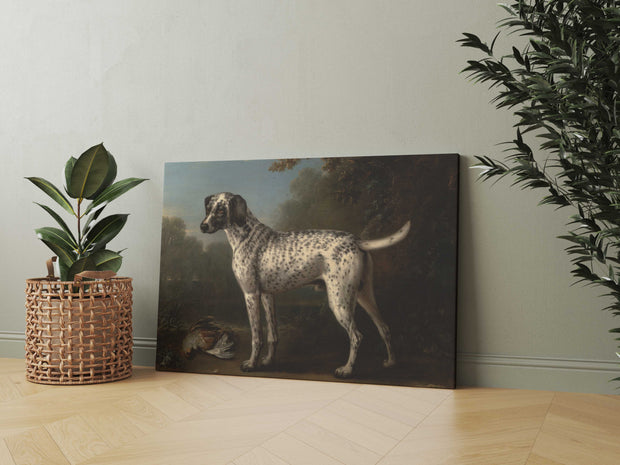 Tablou Canvas - John Wootton - A Grey Spotted Hound