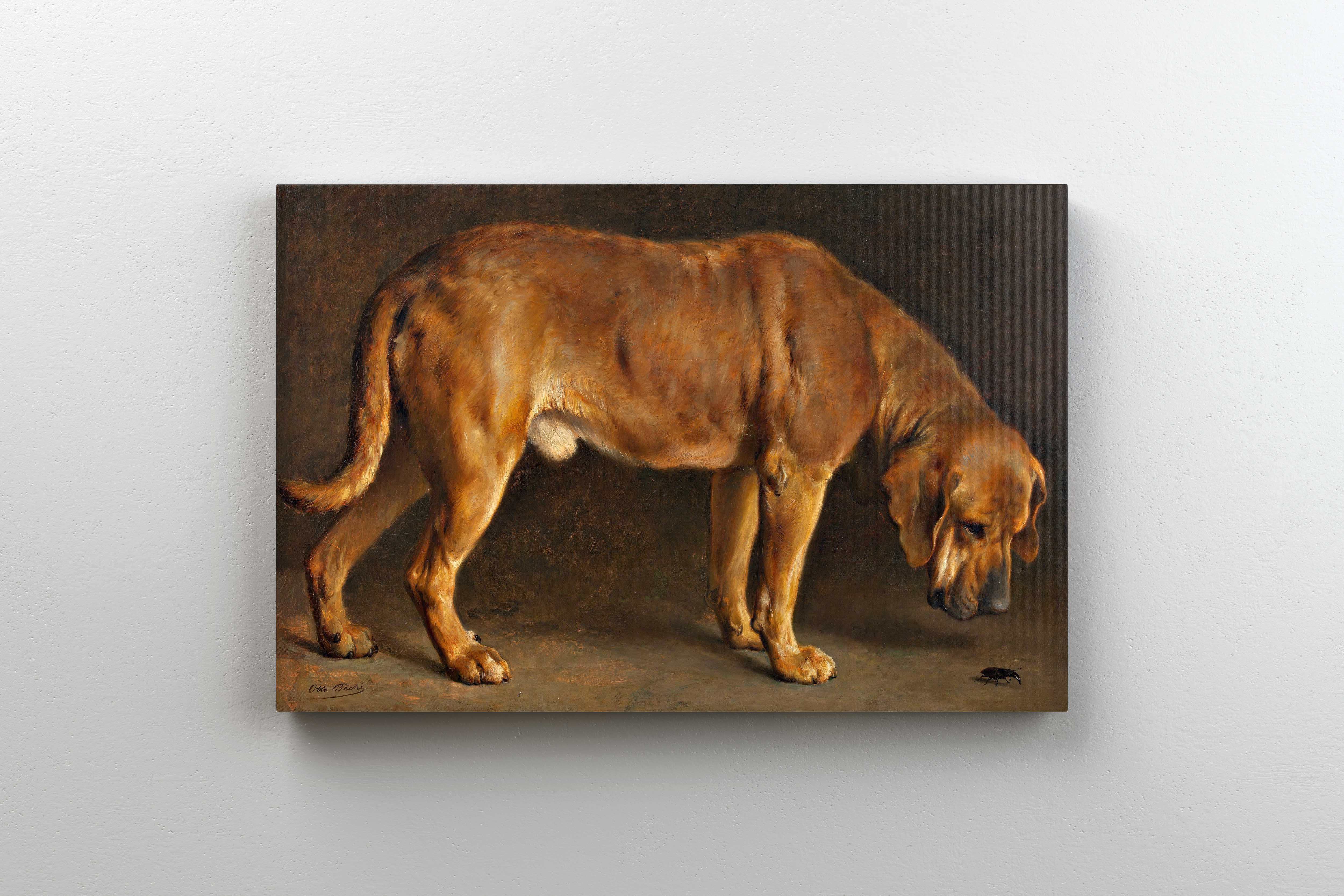 Tablou Canvas - Otto Bache - A Broholmer Dog Looking at a Stag Beetle