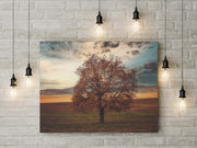 Tablou Canvas - The Lonely Tree