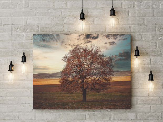 Tablou Canvas - The Lonely Tree