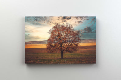 Tablou Canvas - The Lonely Tree