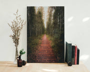 Tablou Canvas - Tinovul Mare