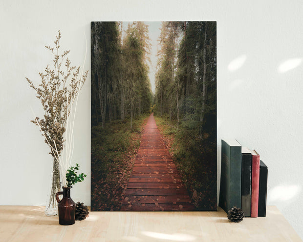 Tablou Canvas - Tinovul Mare