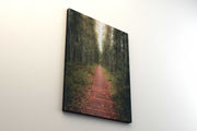 Tablou Canvas - Tinovul Mare