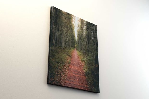 Tablou Canvas - Tinovul Mare