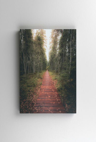 Tablou Canvas - Tinovul Mare