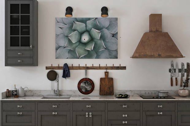 Tablou Canvas - Cactus