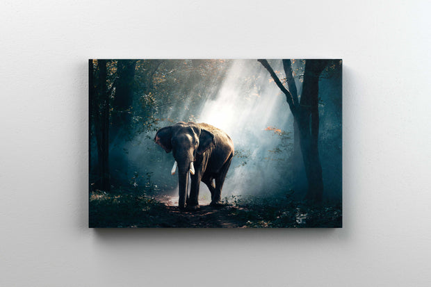 Tablou Canvas - Elefant