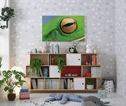 Tablou Canvas - Ochi de Broasca