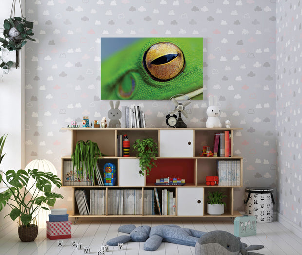Tablou Canvas - Ochi de Broasca