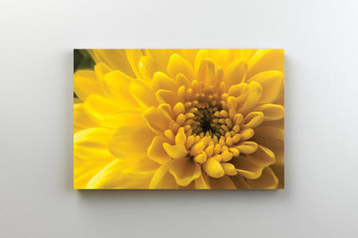 Tablou Canvas - Floare Galbena