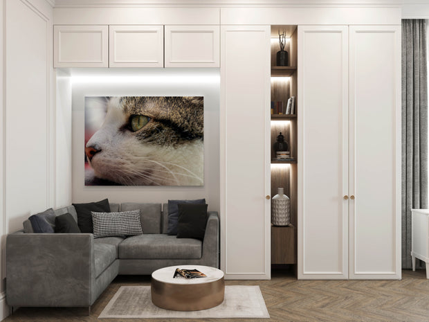 Tablou Canvas - Portret de Pisica