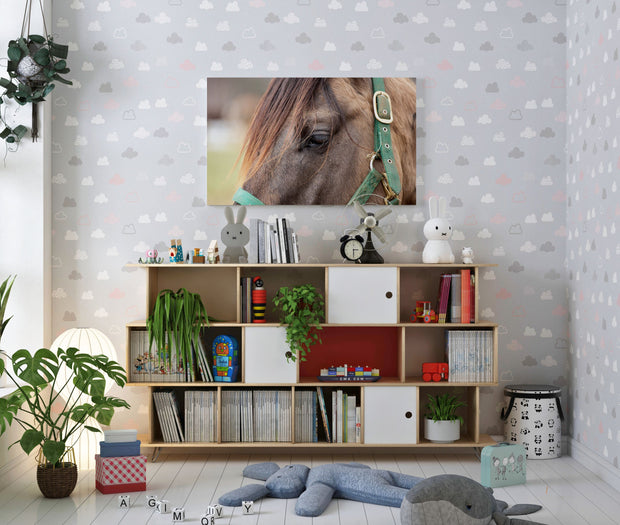 Tablou Canvas - Cal