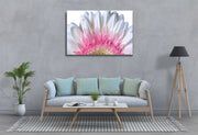 Tablou Canvas - Petale de Floare