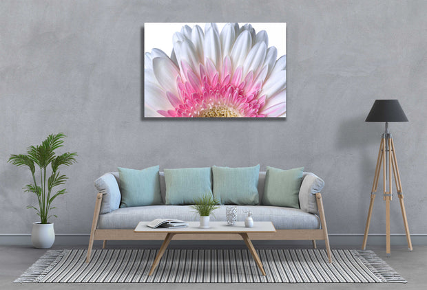Tablou Canvas - Petale de Floare