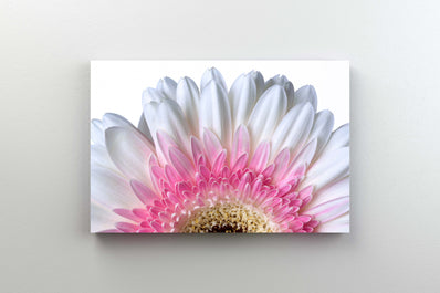 Tablou Canvas - Petale de Floare