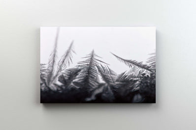 Tablou Canvas - Cristale de Gheata